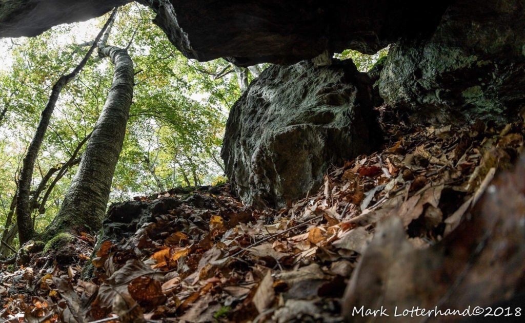 A unique perspective of a Timber Rattlesnake den. “Inside looking out.” Mark Lotterhand NY Oct 2018.