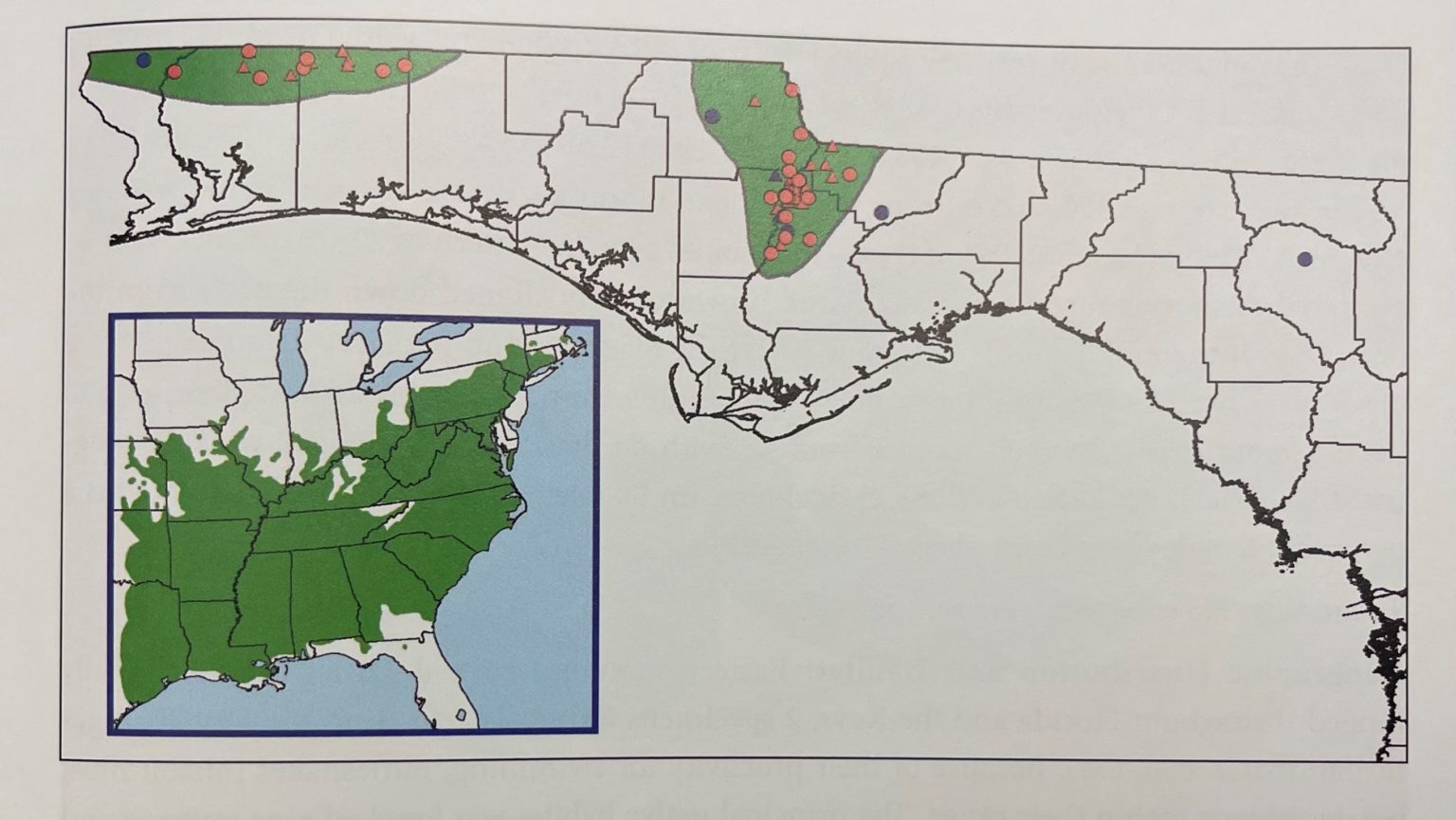 Venomous Snakes Native To Florida Wild Snakes Education And Discussion